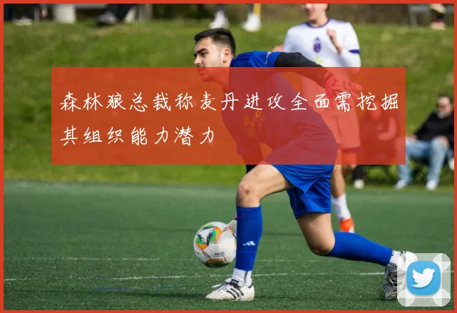森林狼总裁称麦丹进攻全面需挖掘其组织能力潜力