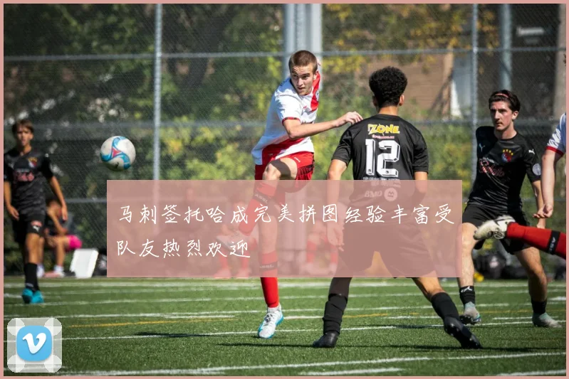 马刺签托哈成完美拼图经验丰富受队友热烈欢迎