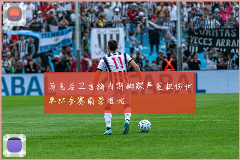 马竞后卫吉梅内斯脚踝严重扭伤世界杯参赛前景堪忧