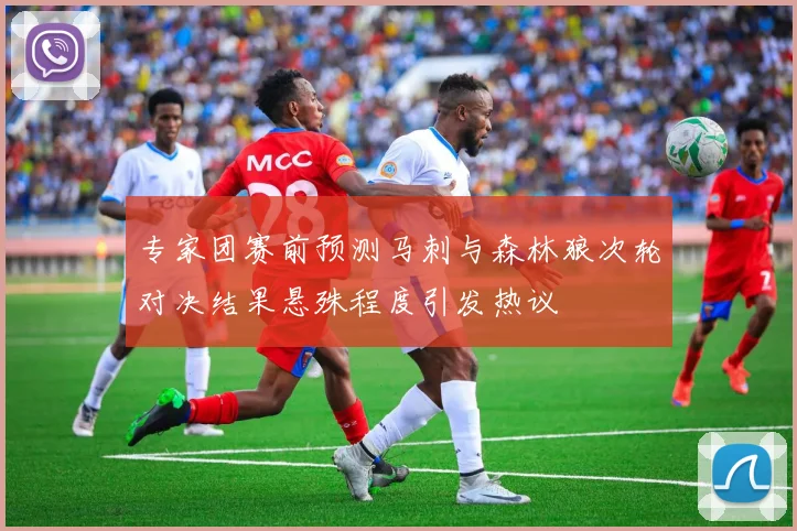 专家团赛前预测马刺与森林狼次轮对决结果悬殊程度引发热议
