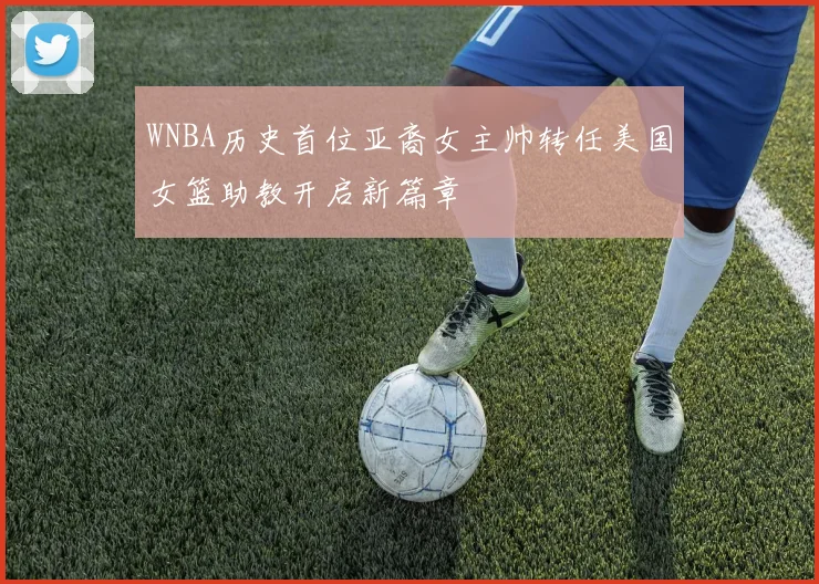 WNBA历史首位亚裔女主帅转任美国女篮助教开启新篇章
