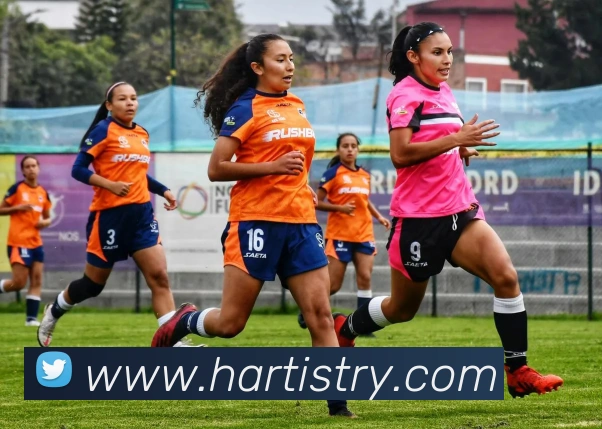 体育赛事直播